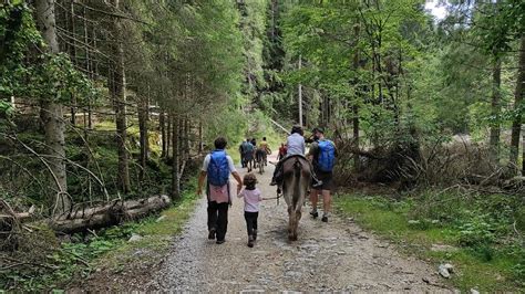 Caltrano A Passo D Asino Tra I Boschi Incantati