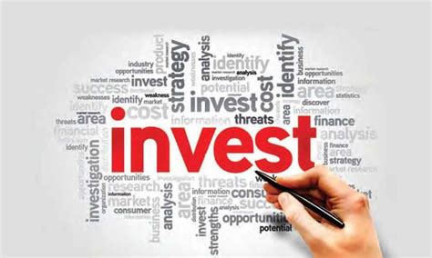 Souirensu: Is This the Investment Opportunity of a Lifetime? - deg135y