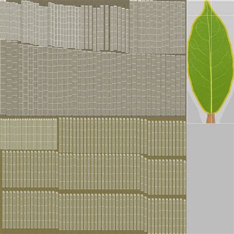 Laurus Nobilis Bush 3d Model 39 3ds Blend C4d Fbx Max Ma Lxo