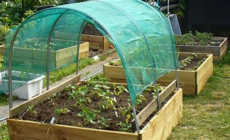 Tips For A Water Wise Vegetable And Herb Garden Shade Garden Garden