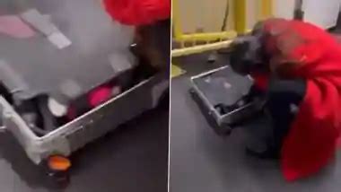 US Woman Asked To Leave Plane After Sex Toy Starts Buzzing In Suitcase Viral Video Of