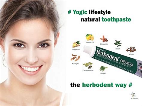 Dr Jaikaran Herbodent Premium Herbal Toothpaste 100g Pack Of 6 Packaging Size 600g At Rs 660