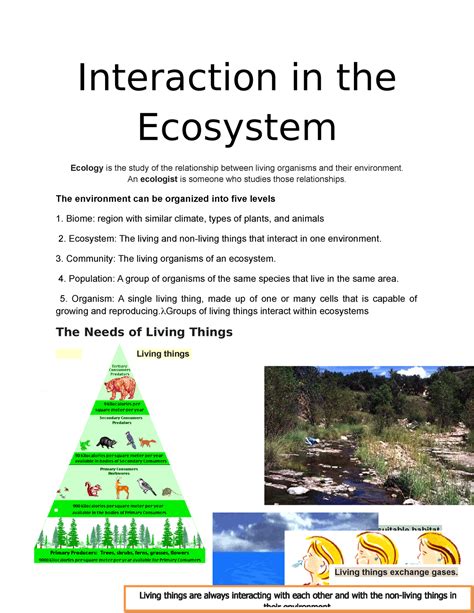 Interaction In The Ecosystem Interaction In The Ecosystem Ecology Is