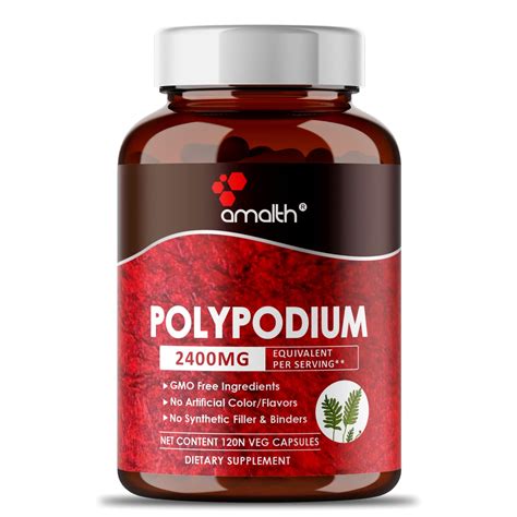 Polypodium Leucotomos Extract Powder 120 Capsules – Amalth
