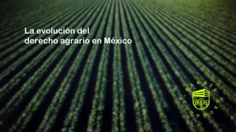 La Evoluci N Del Derecho Agrario En M Xico Z Rate Abogados