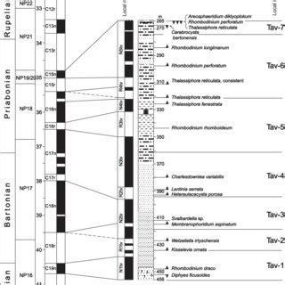 Litho Magneto And Biostratigraphy Of The Tavda Formation In The