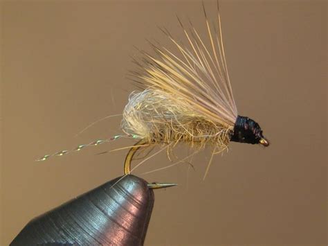 Fpa Caddis Emerger Sbs Pesca