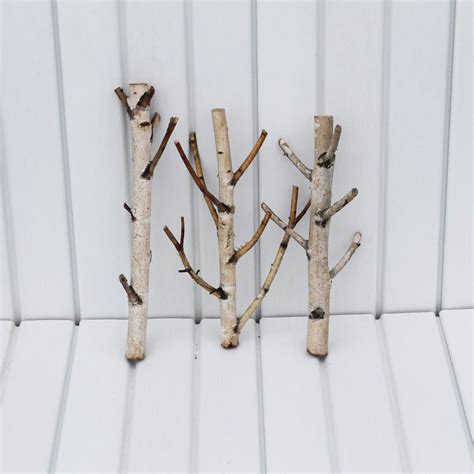 White Birch Branches Etsy