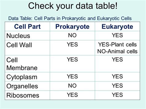 Prokaryotic Cells Vs Eukaryotic Cells Chart Ponasa