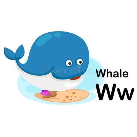 Alphabet Letter W Whale With Cartoon Vocabulary Illustration Stock