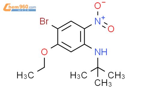 1280786 66 4 4 Bromo N tert butyl 5 ethoxy 2 nitroaniline化学式结构式分子式