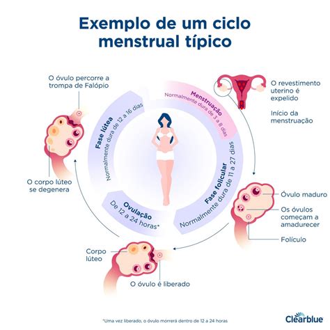 Oq Pode Atrasar A Menstruação