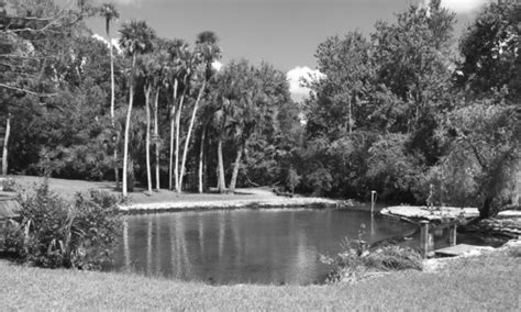 Starbuck Spring Calendar Starbuck Springs