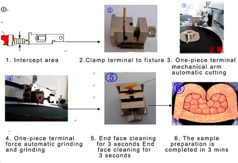 Terminal Cross Section Analysis