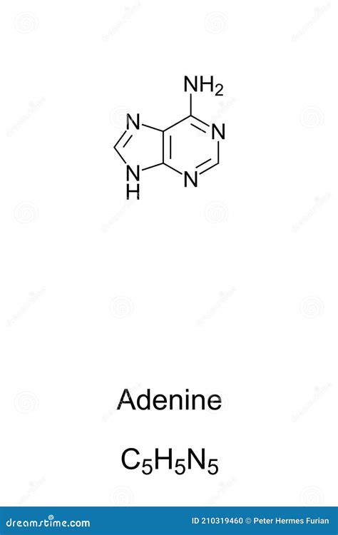 Adenine, A, Ade, Nucleobase, Chemical Formula And Skeletal Structure ...