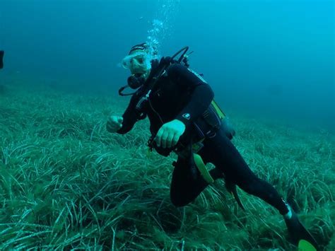 Posidonia Blu Diving Center Isola Di Favignana 2021 What To Know