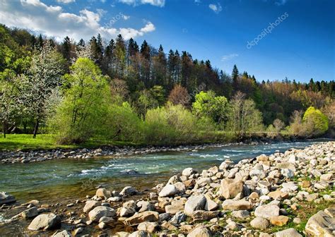 Landscape With River And Forest Stock Photo Derkien 19776185