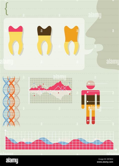 Illustration Info Graphics Of Teeth Stock Photo Alamy