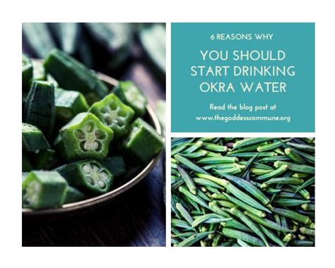 6 Reasons You Should Start Drinking Okra Water — The Goddess Commune Okra Water Okra Benefits