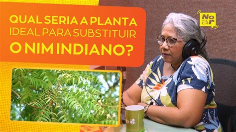 Qual Seria A Planta Ideal Para Substituir O Nim Indiano Noar Youtube