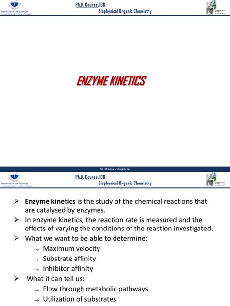 Enzyme Kinetics | PDF