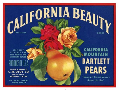 California Beauty Brand Vintage Suisun Pear Crate Label Thelabelman