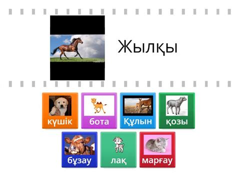 Төлін тап? - Find the match