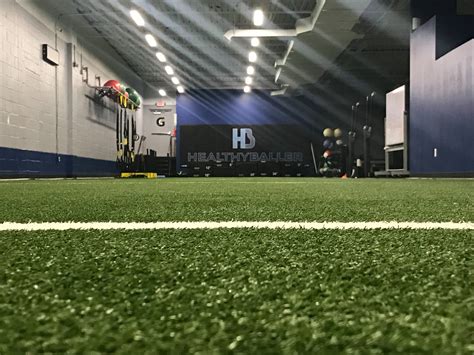 FitnessPhysio - TIBIALIS ANTERIOR ANATOMY . ORIGIN: - Upper two thirds