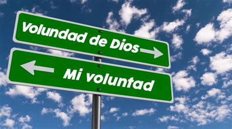 Vers Culos De La Biblia Sobre La Voluntad De Dios