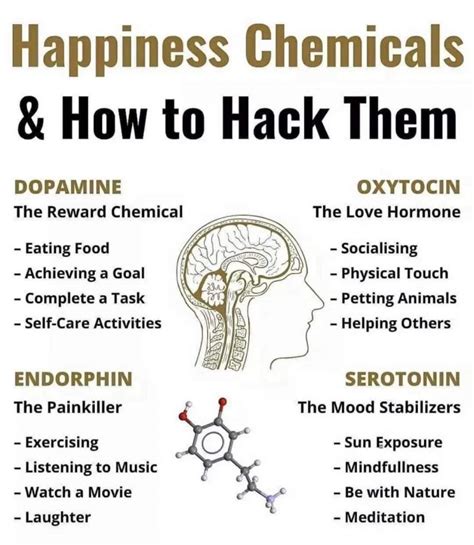 The Most Important Happiness Hacks In The World Daily Infographic