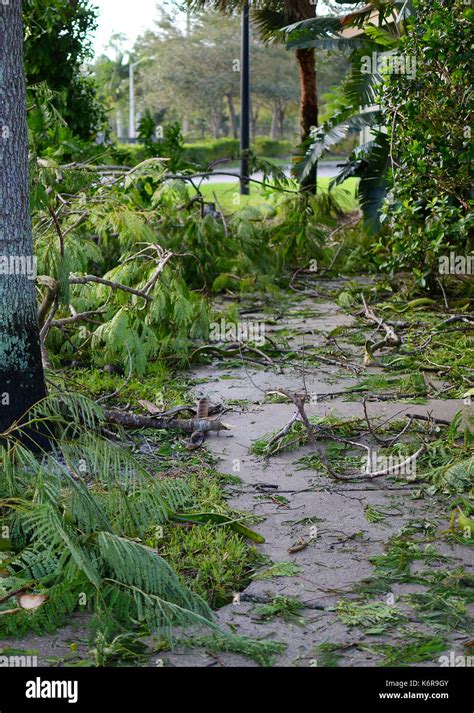 West Palm Beach Hurrikan Fotos Und Bildmaterial In Hoher Aufl Sung