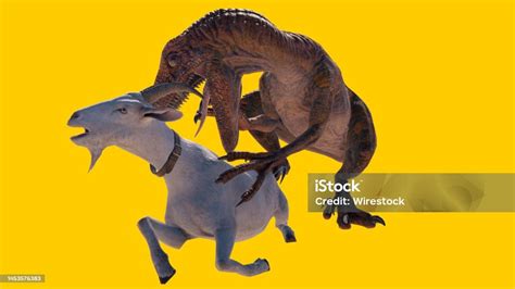 3d Rendering Of A Velociraptor Dinosaur Eating A Goat Isolated On A