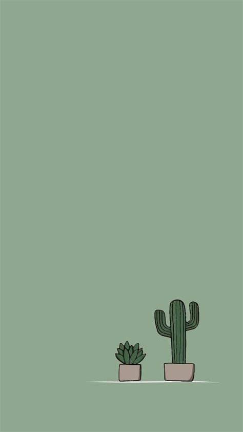 Cactus Iphone Wallpapers