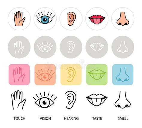 Human Feelings Five Senses Vector Illustration Lips Hand Nose Eye