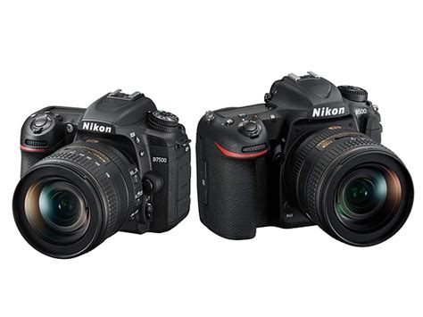 Nikon D7500 vs Nikon D500 : Which is better for you? - GearOpen.com