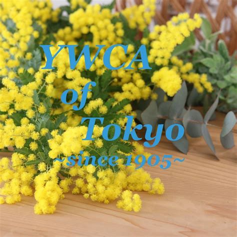 東京ywca（ywca Of Tokyo）