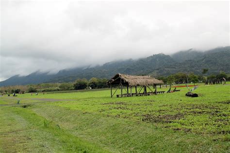 【花東景點】花東縱谷線景點南到北，悟饕便當、富里鄉農會、東昇茶行、大農大富 咖啡老媽