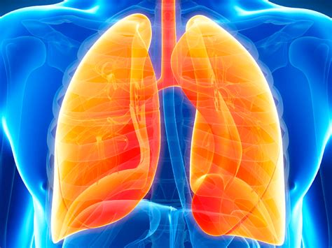 Lungs With Emphysema