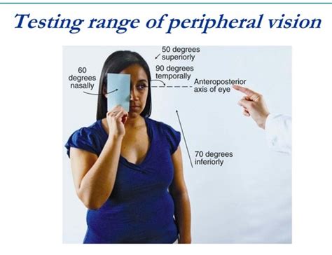 1014 Health Assessment Class 6 Eyes And Ears Flashcards Quizlet