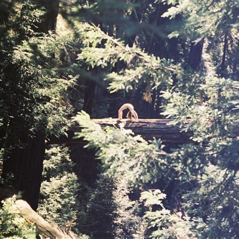 Emily Browning Naked In The Redwoods From Instagram Scrolller