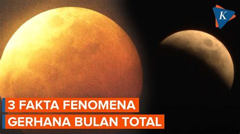 Fakta Gerhana Bulan Total 8 November 2022 Jadi Yang Terakhir Hingga