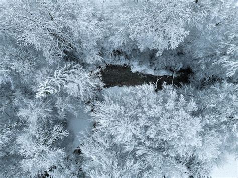 Premium Photo Aerial View Of Snow Covered Forest In Winter In