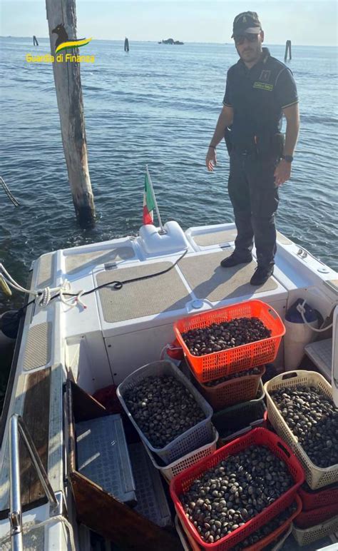 Pesca Abusiva Nella Laguna Di Chioggia Sequestri Della Guardia Di