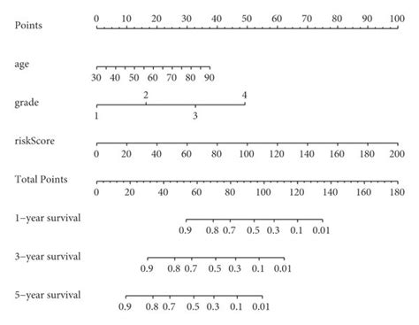 Independent Prognostic Analysis And Construction Of Nomogram A