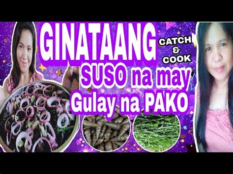 Catch And Cook Suso Ginataang Susowithpako Buhay Probinsya