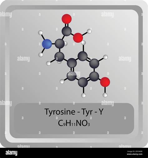 Formule Mol Culaire Chimique Tyrosine Banque De Photographies Et D