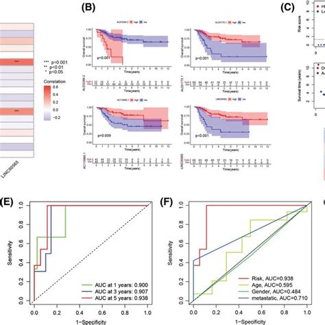 Correlation Between The Cuproptosis‐related Lncrna Signature And The