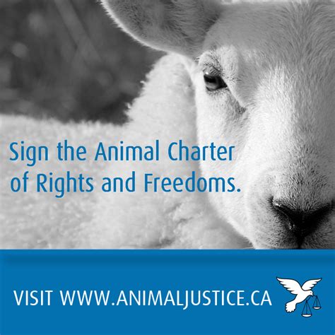 Animal Justice – Animal Charter of Rights and Freedoms