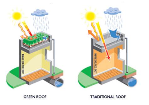 Why Green Roofs Benefits