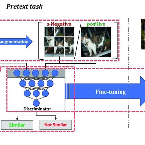 Contrastive Self Supervised Learning 1 Constructing Positive Or Download Scientific Diagram